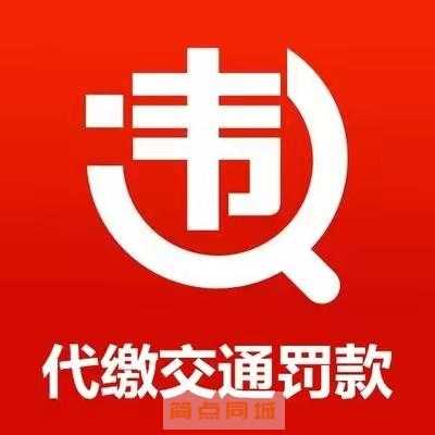 其他车辆信息