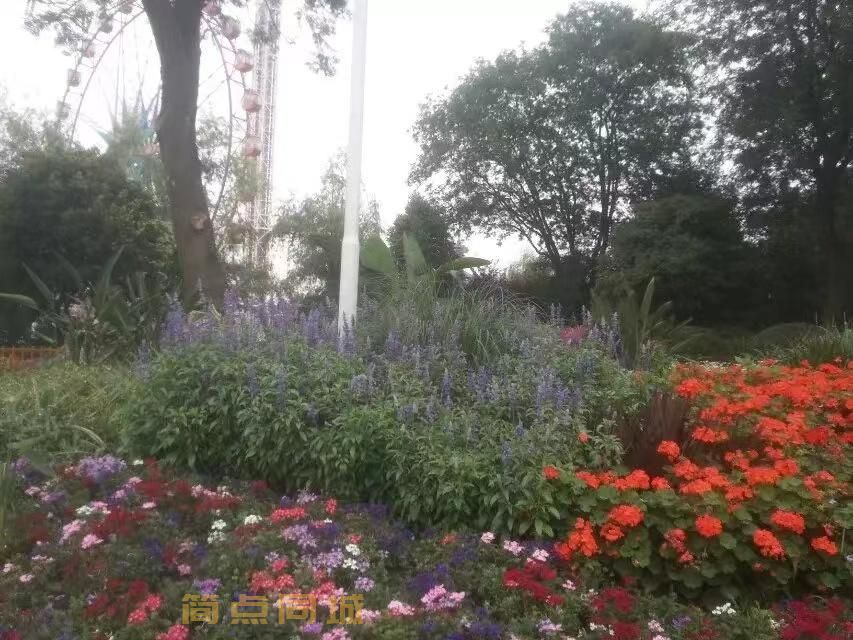 成都亲戚朋友车当场下款自有资金5-8次GPS亲戚车开走亲朋车